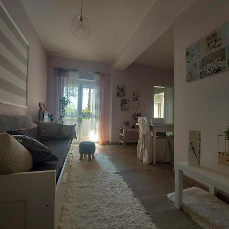 La Pineta - Delightful Small Apartment Near The City Center LʼAquila Exterior foto