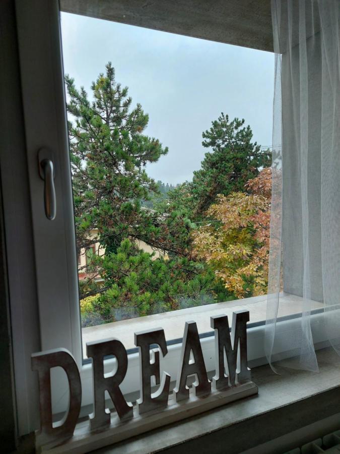 La Pineta - Delightful Small Apartment Near The City Center LʼAquila Exterior foto